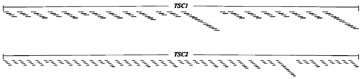 Lymphangiomyoma joint detection method and application thereof