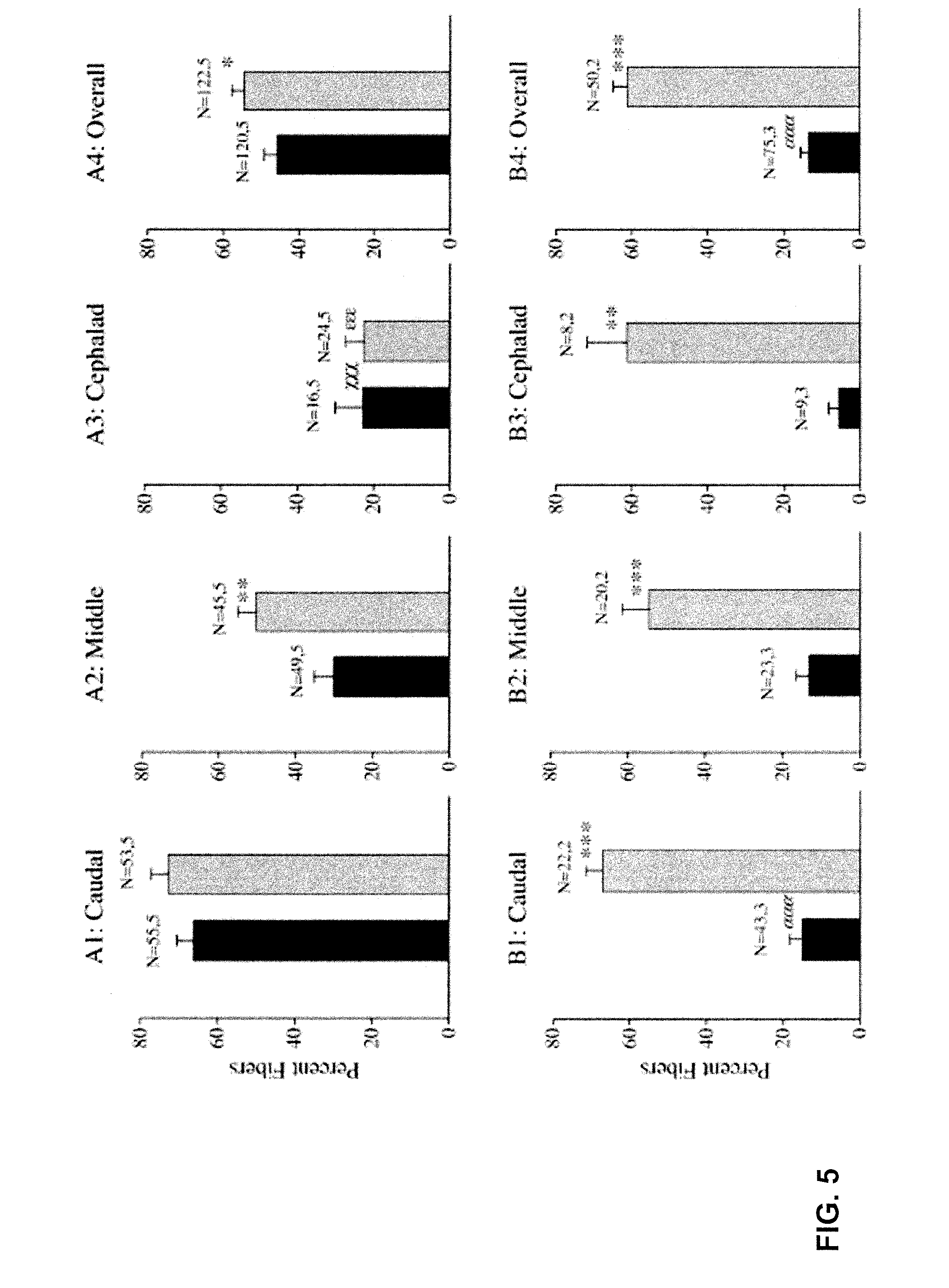 Compositions And Methods For The Treatment Of Muscular Dystrophy