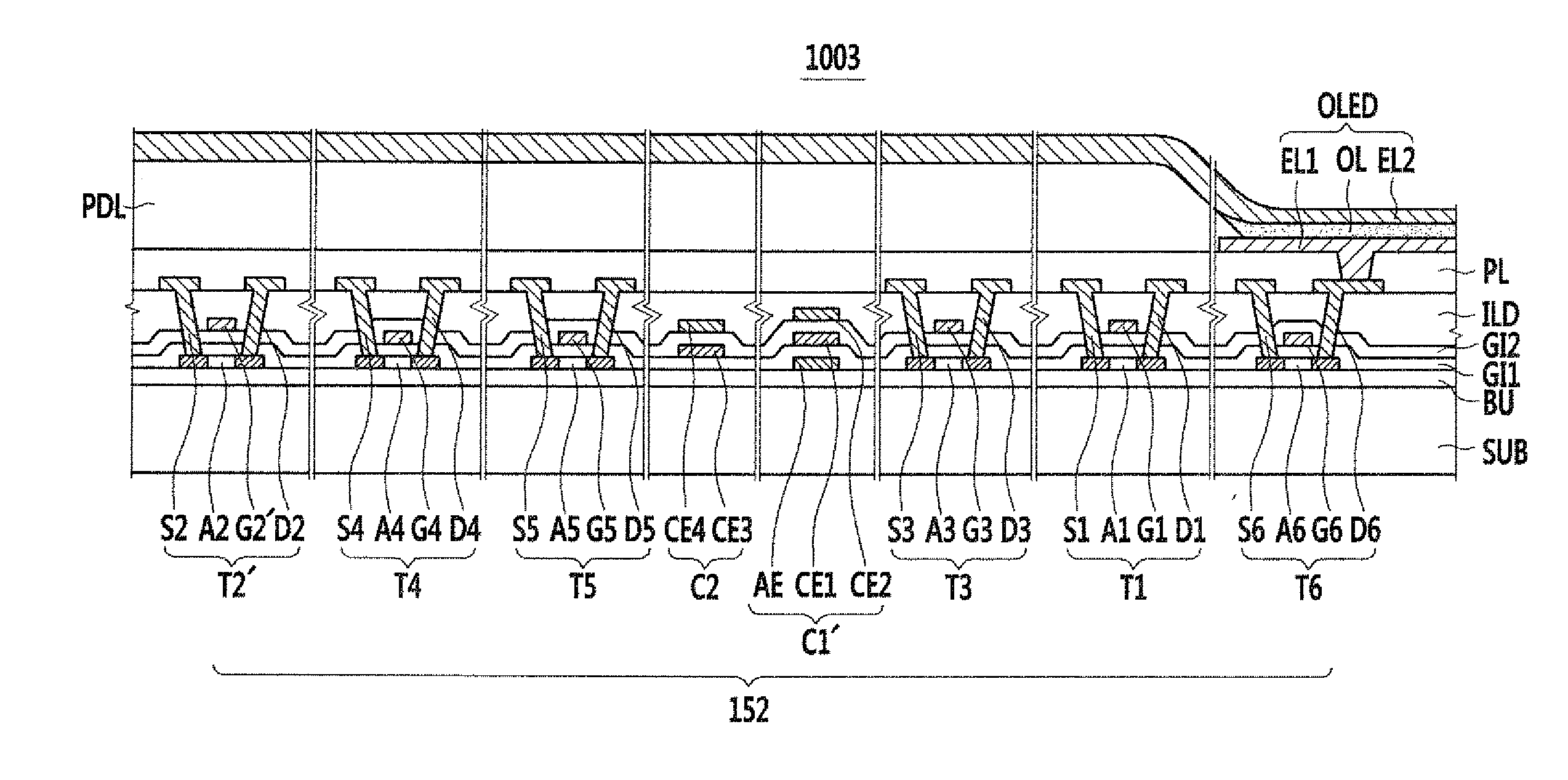 Organic Light Emitting Diode Display