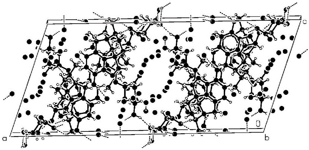 Morphine derivative crystal form I and preparation method and application thereof