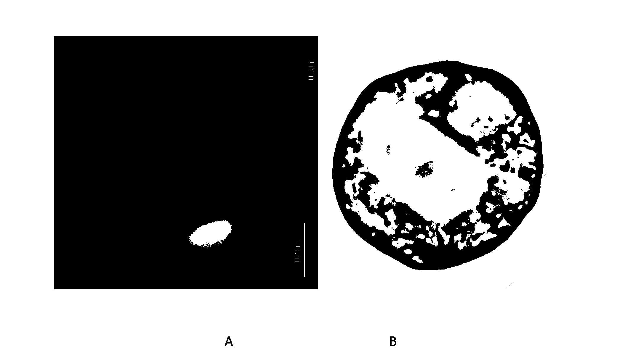 Method for constructing genetic character chimeric multi-cellar structure