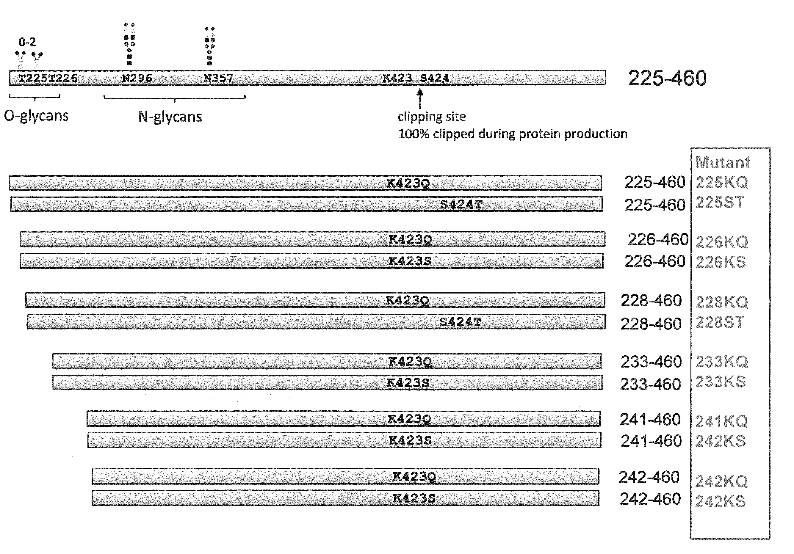 Peptides and compositions for treatment of joint damage