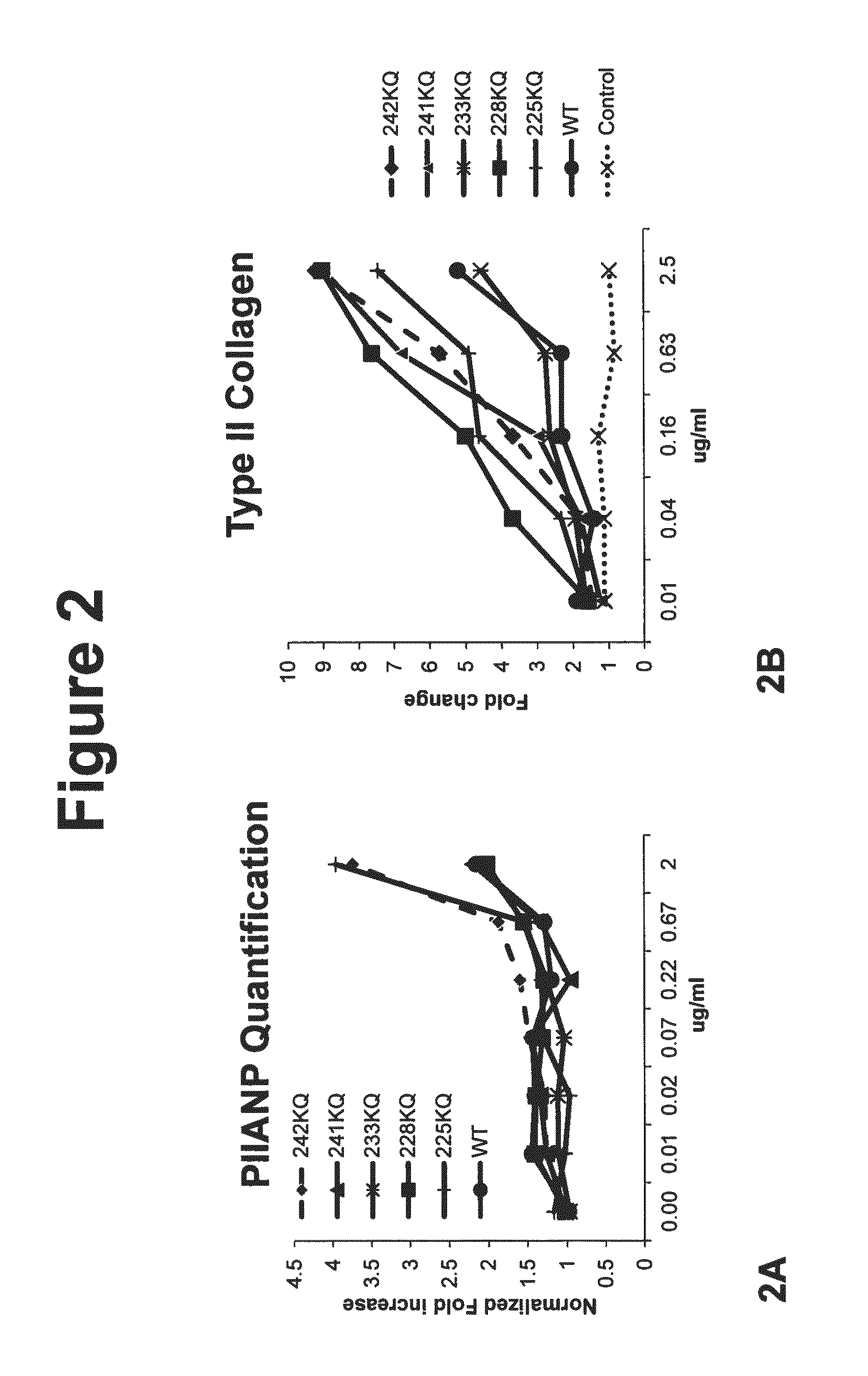 Peptides and compositions for treatment of joint damage