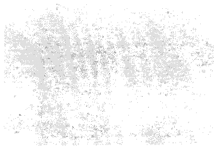 Cryopreservation solution of tissue engineering products and application method thereof