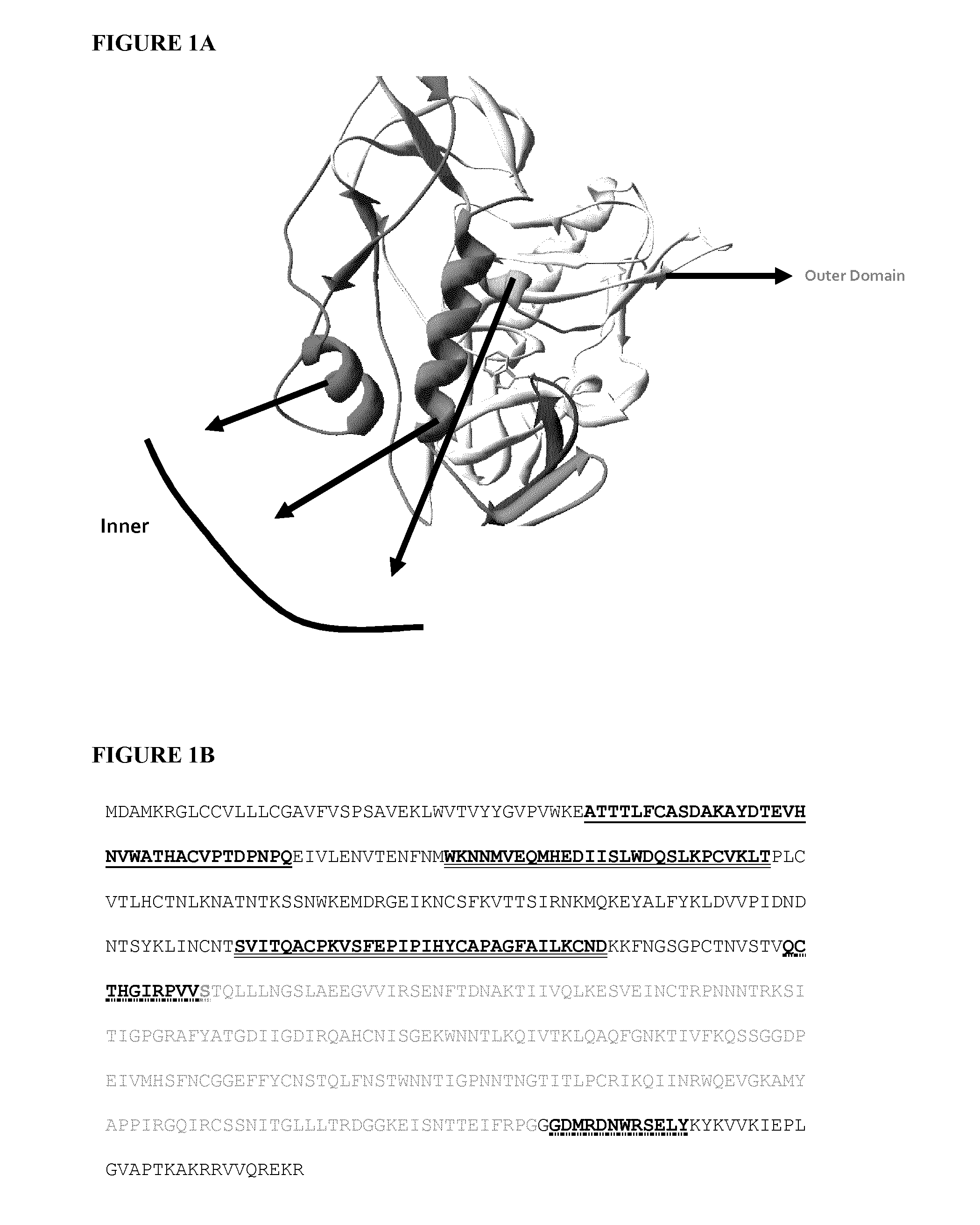 Stabilized gp120