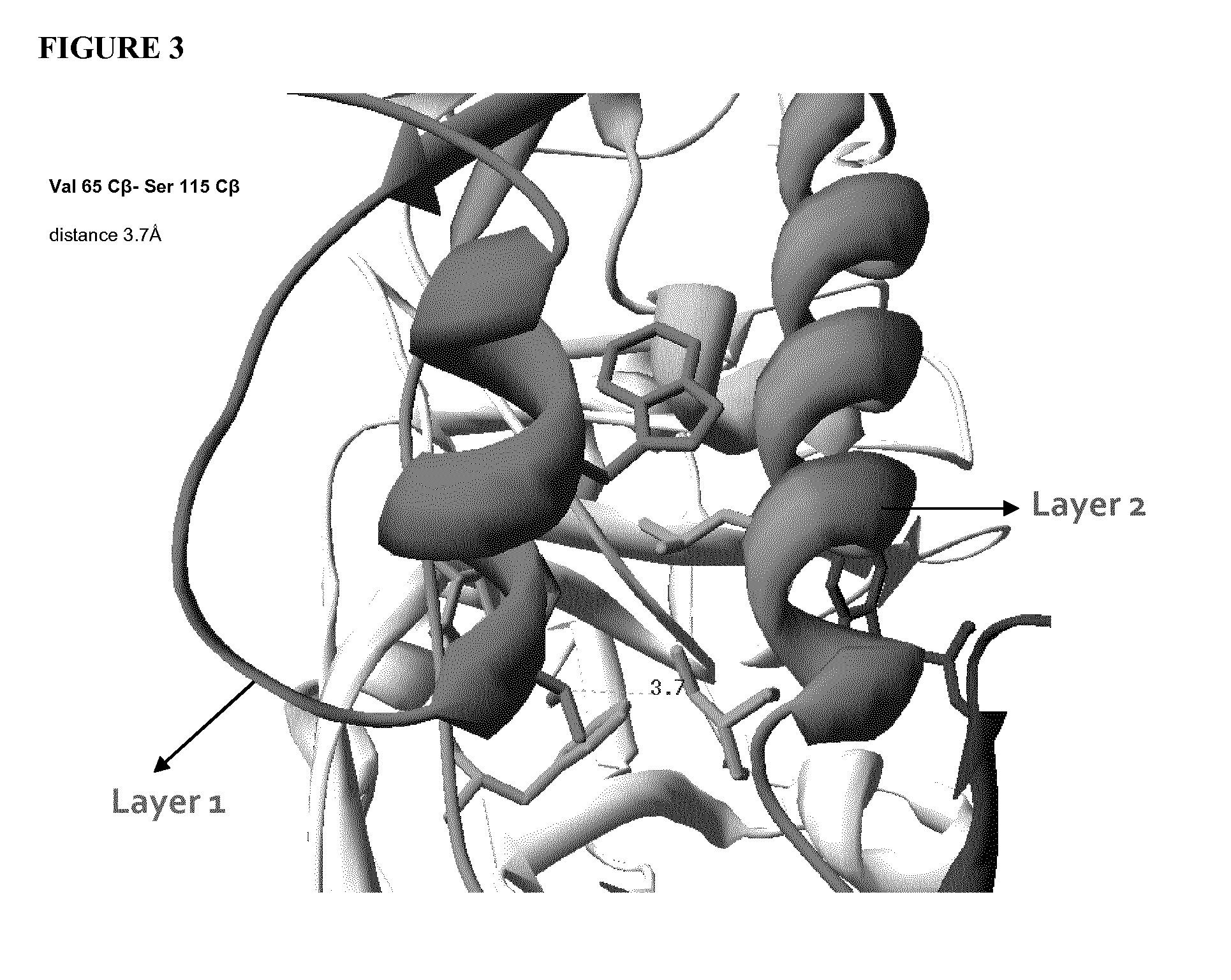 Stabilized gp120