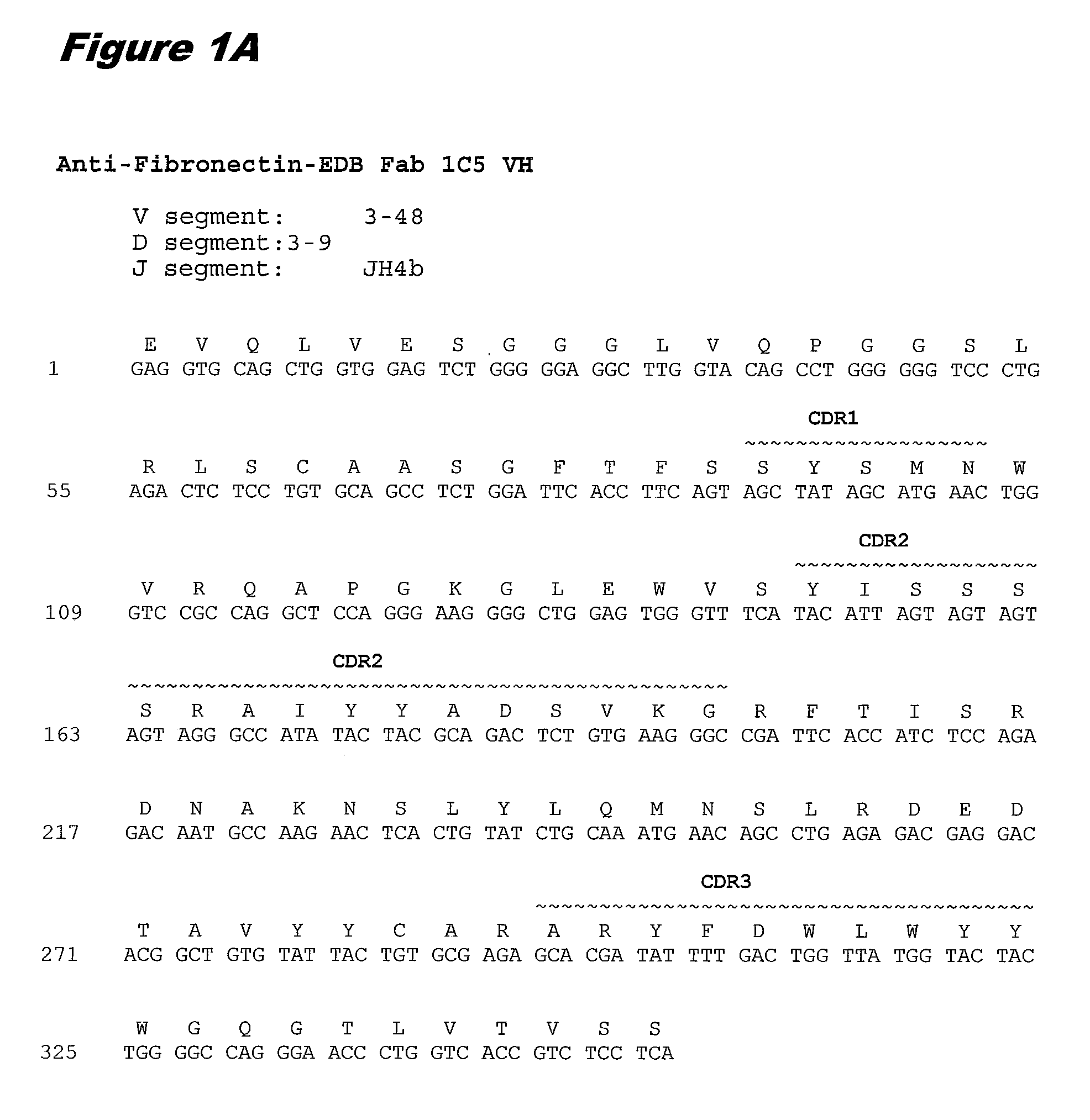 Fibronectin ed-b antibodies, conjugates thereof, and methods of use