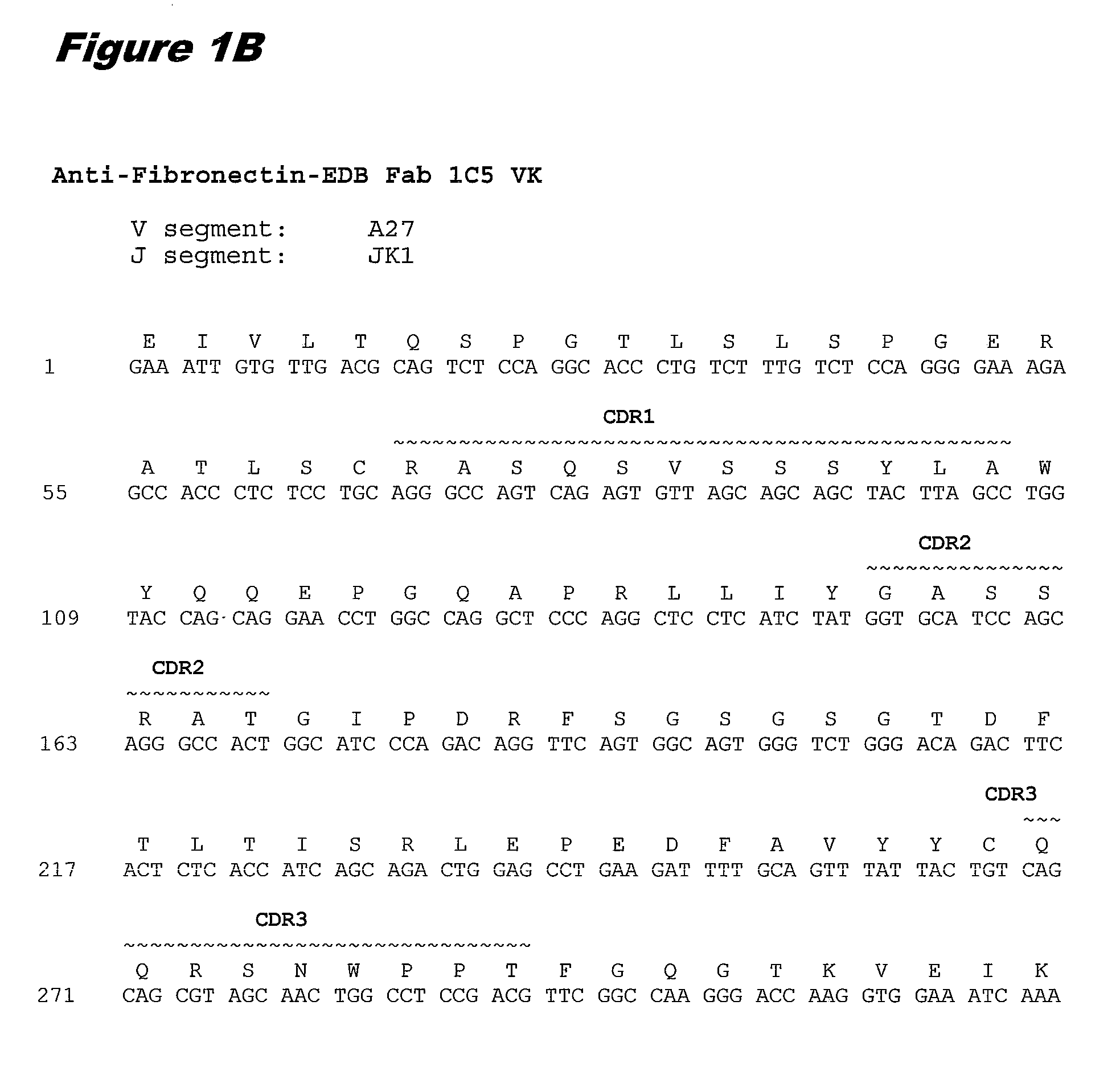 Fibronectin ed-b antibodies, conjugates thereof, and methods of use