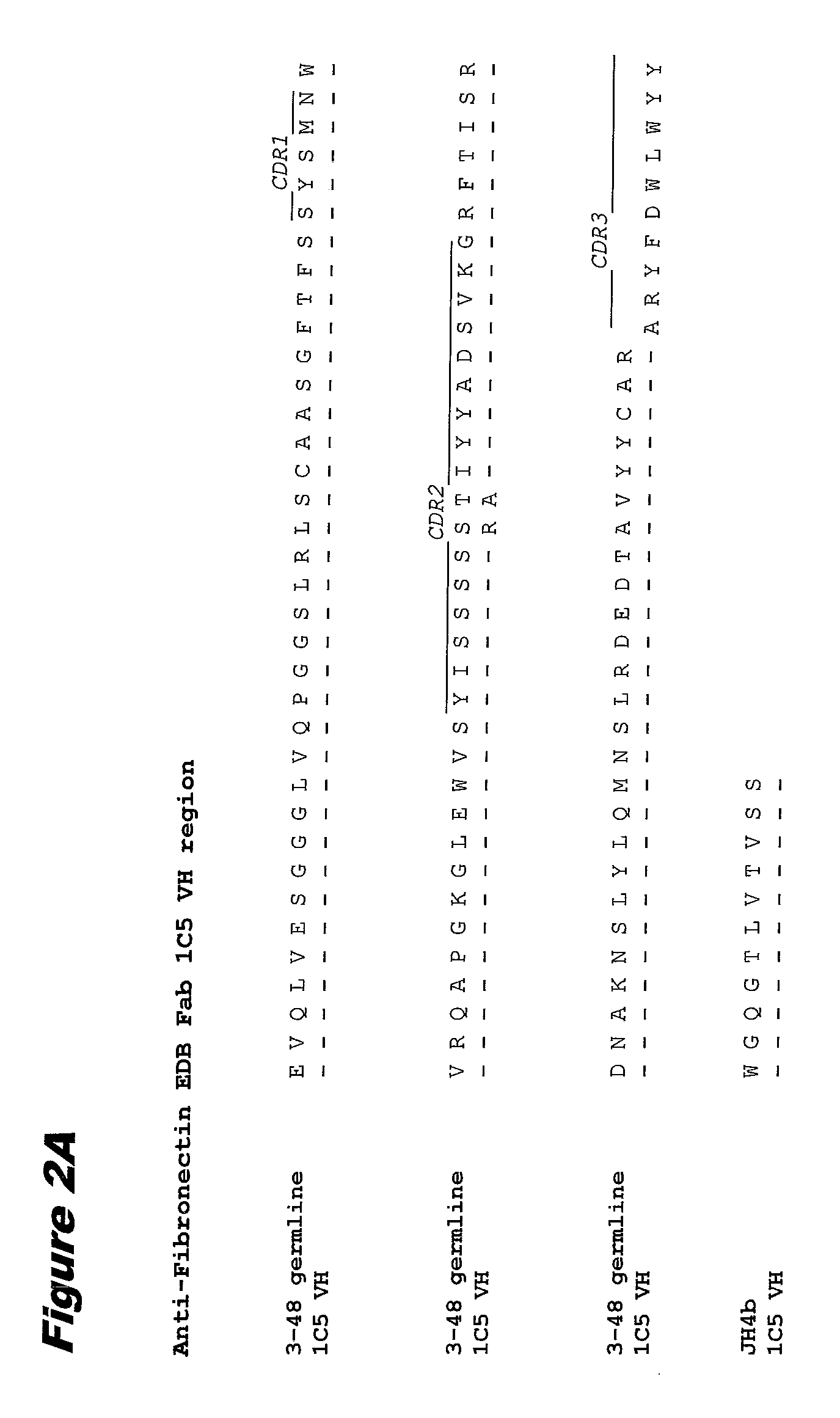 Fibronectin ed-b antibodies, conjugates thereof, and methods of use