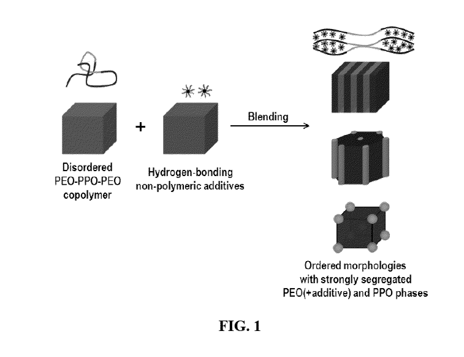 Induced polymer assemblies