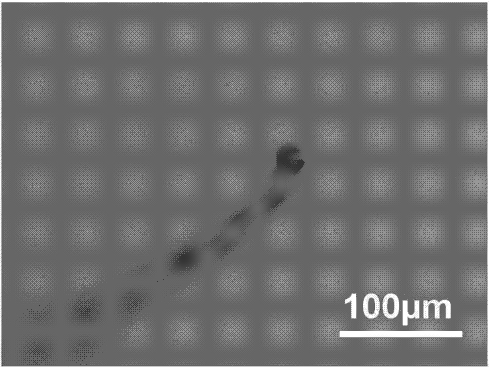 Preparation method of grapheme-nanometer precious metal composite pipe