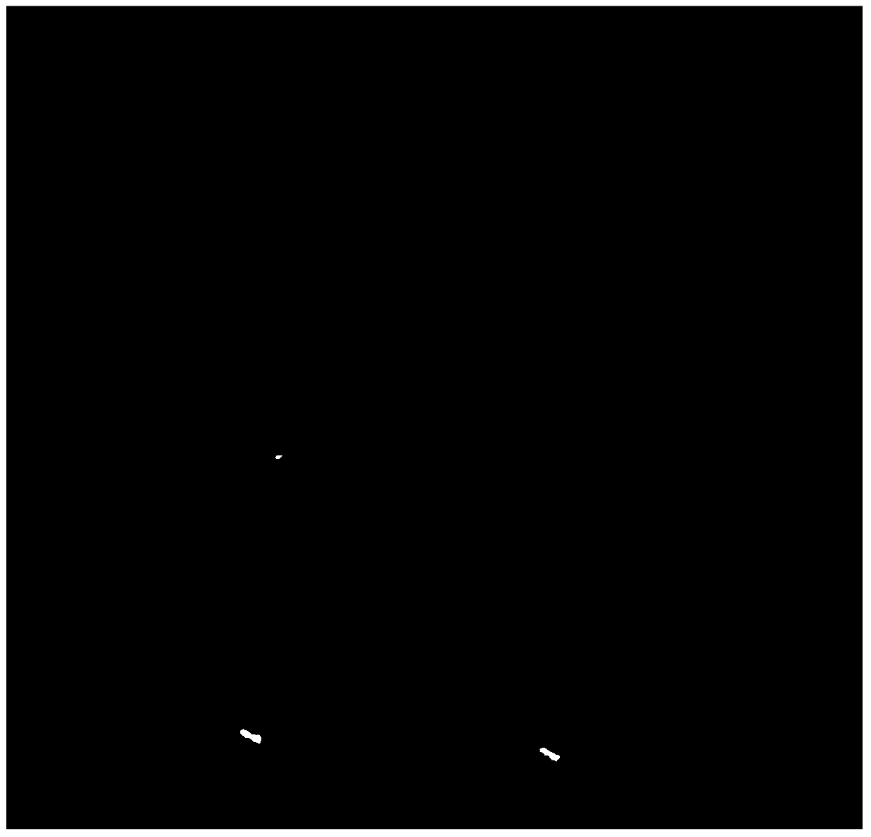 A method for genetic transformation of Dangshansu pear