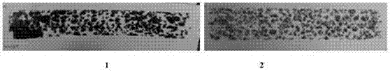 Anti-adhesion emulsified asphalt capable of being quickly demulsified, cured and molded at room temperature and preparation method thereof