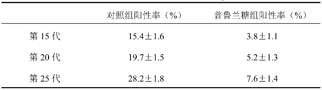 Mesenchymal stem cell culture medium