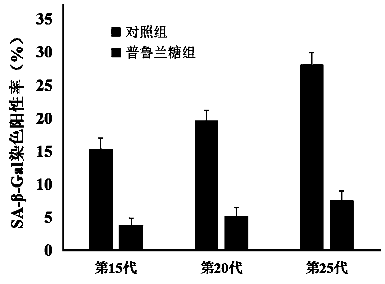 Mesenchymal stem cell culture medium