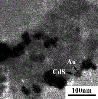 Preparation method and application of heterojunction photoelectrode