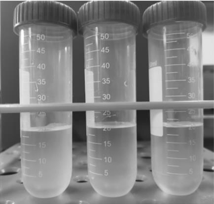 Preparation method of self-phase-change proppant based on emulsified toughened bio-based epoxy resin