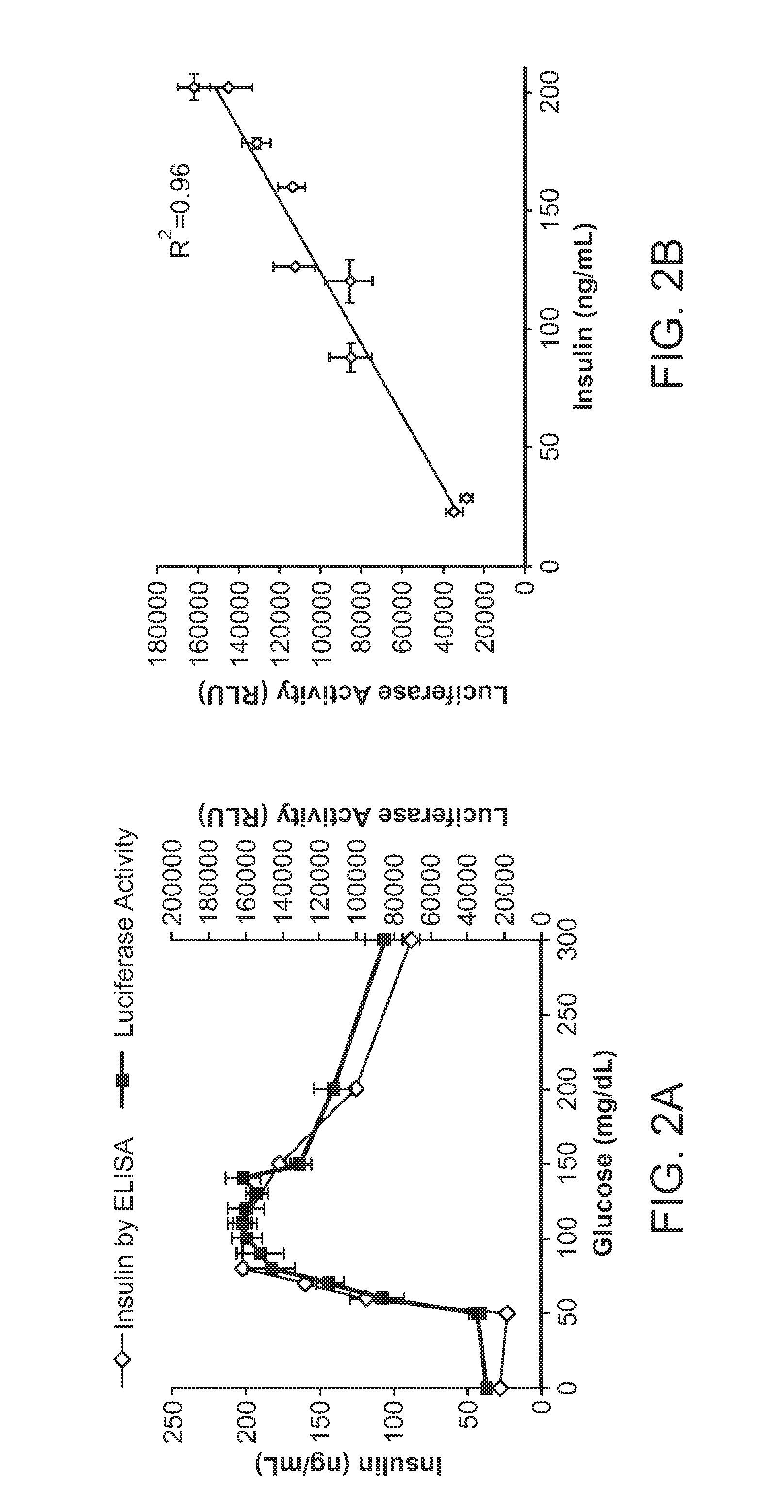 Propeptide-luciferase fusion proteins and methods of use thereof