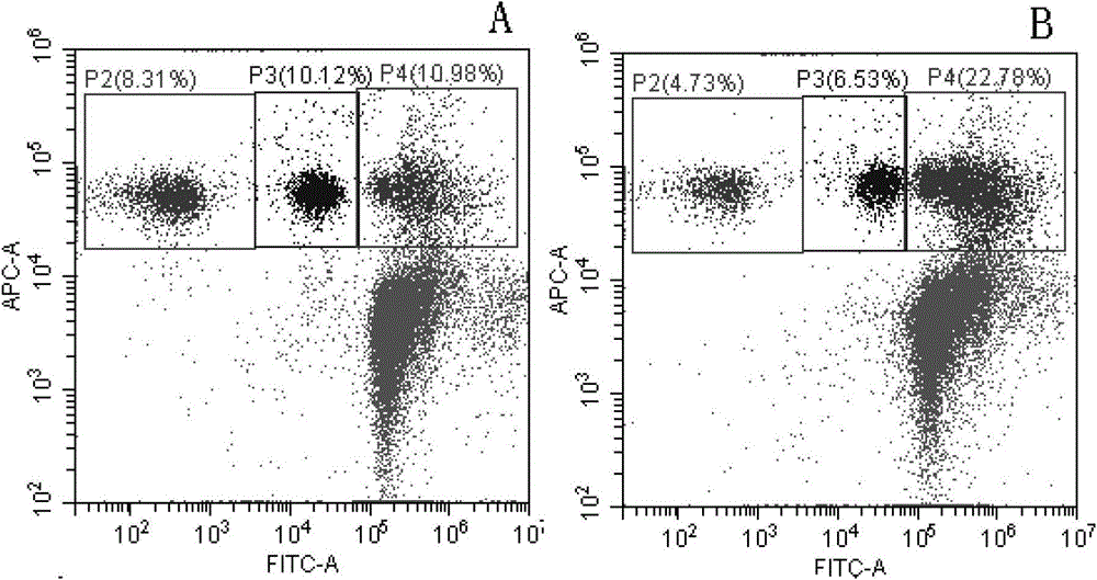 Method for analyzing and evaluating erythropoiesis function of mouse marrow through flow cytometry