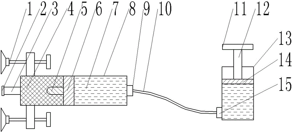 Automobile windshield repairing device with fixing device