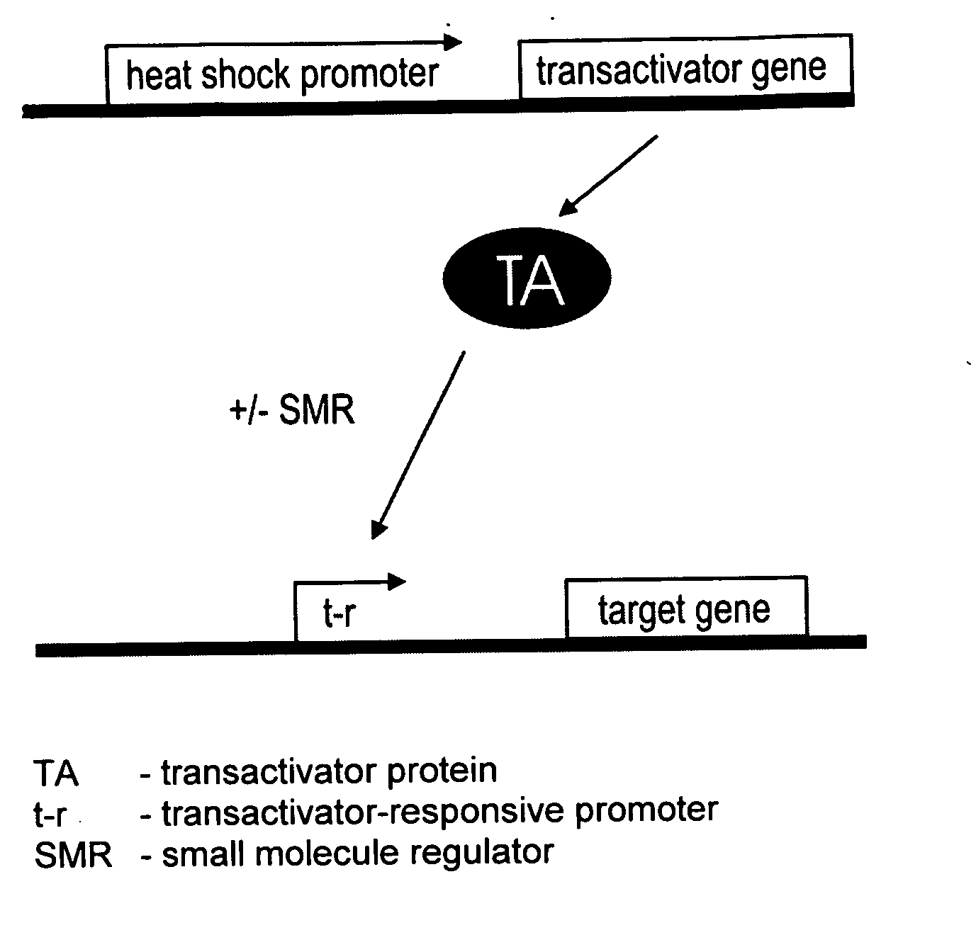 Viral vectors whose replication and, optionally, passenger gene are controlled by a gene switch activated by heat in the presence or absence of a small-molecule regulator