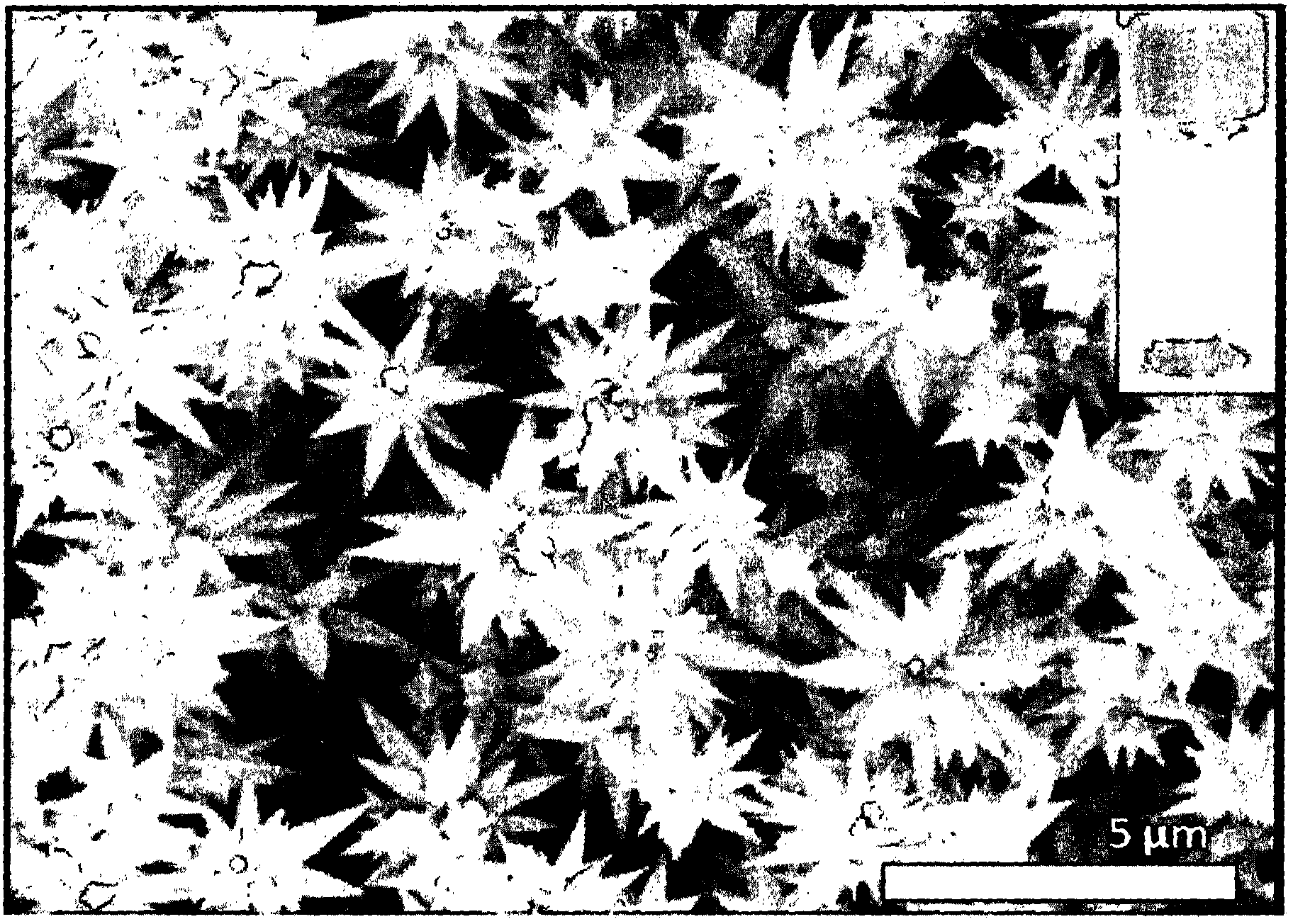 Visual detection of mercury ions