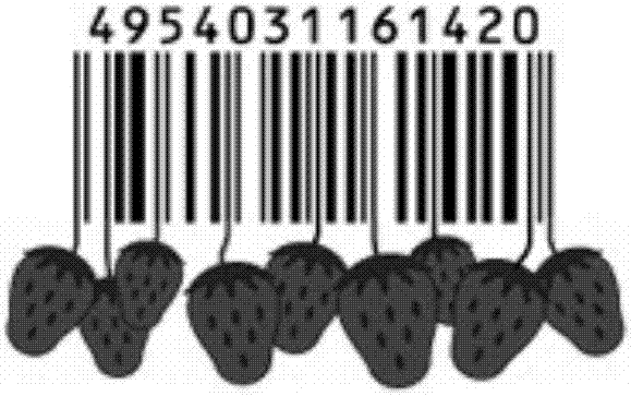 Digital object unique identifier DOI identification method and apparatus