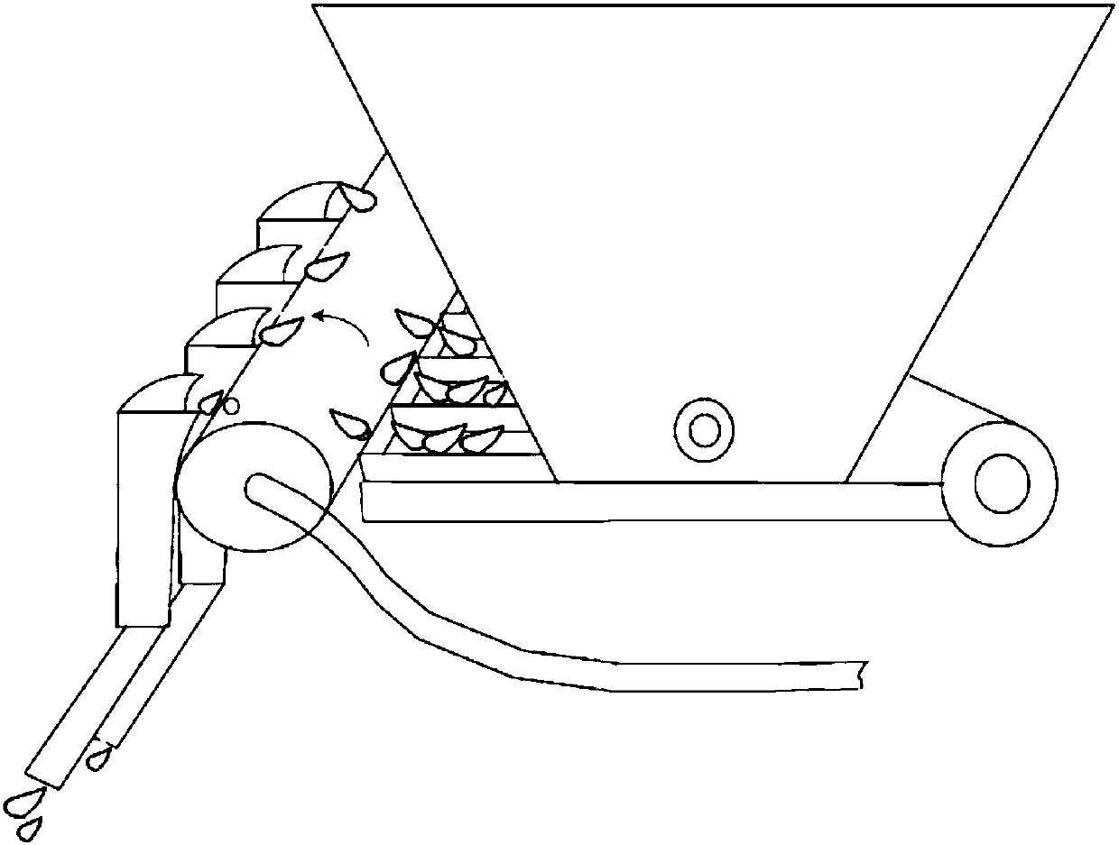 Sowing mechanism for garlic