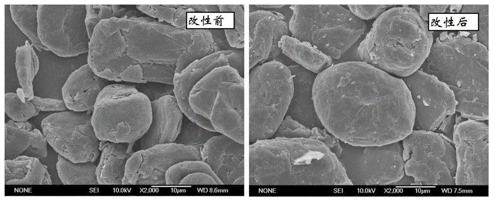 Preparation method for graphite negative electrode of lithium ion battery