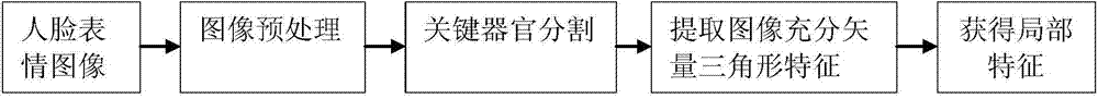 Local feature characterization method based on face expression image