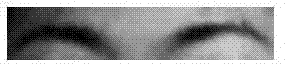 Local feature characterization method based on face expression image