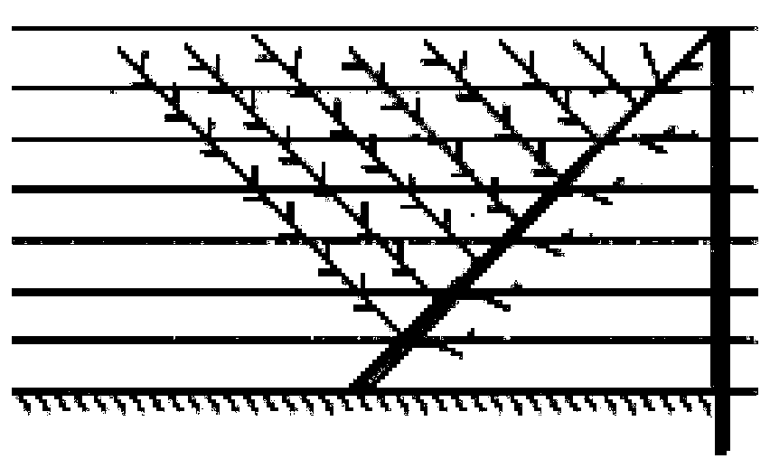 A method for constructing a tree shape of a big cherry