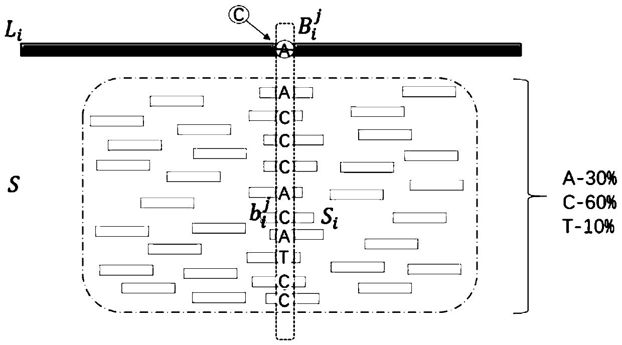 Hybrid method for correcting sequencing errors in third-generation sequencing data under heterozygous variation