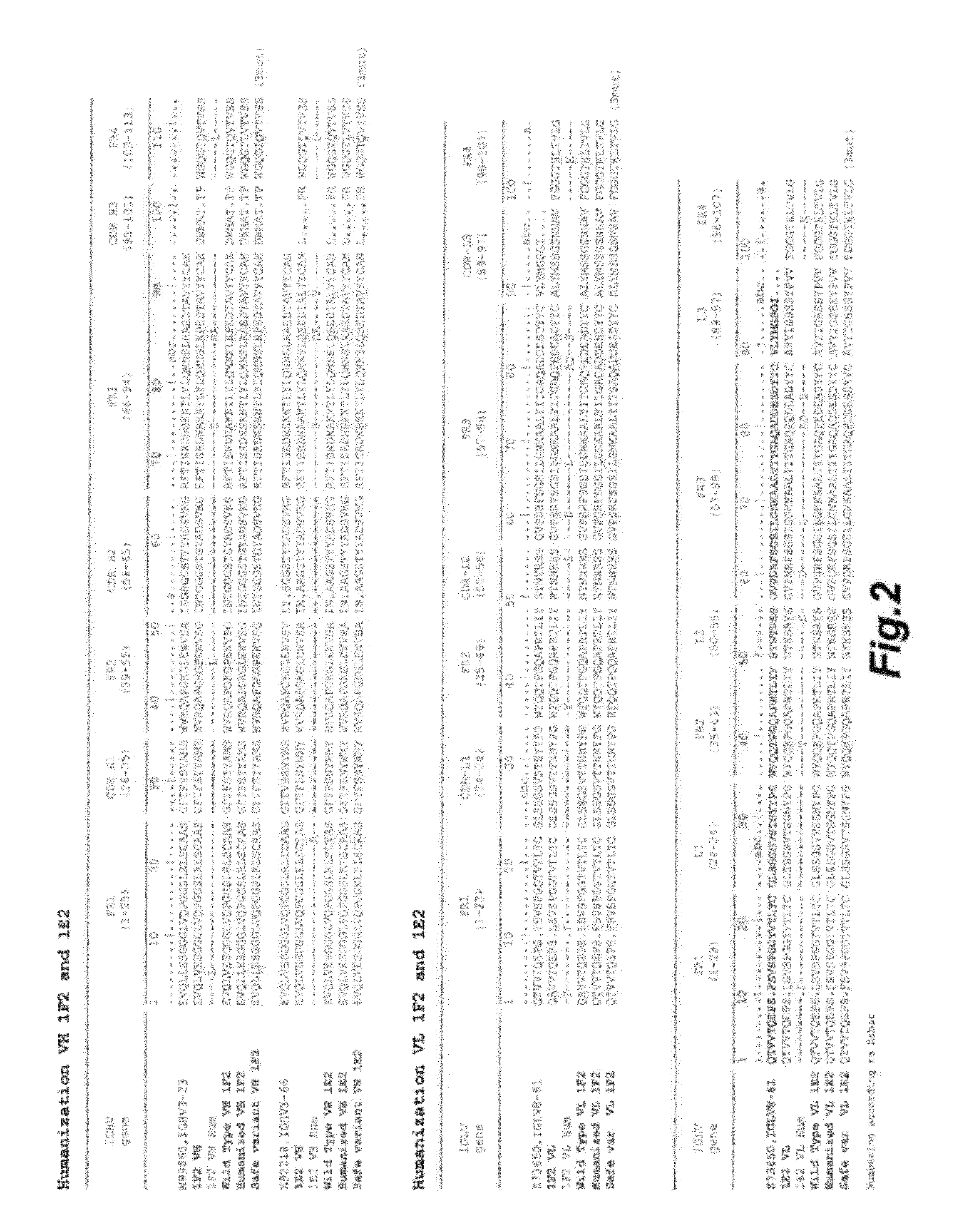 Antigen binding polypeptides