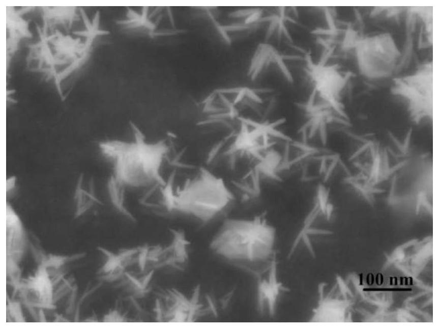 Method for preparing nano vanadium dioxide by reverse hydrolytic precipitation