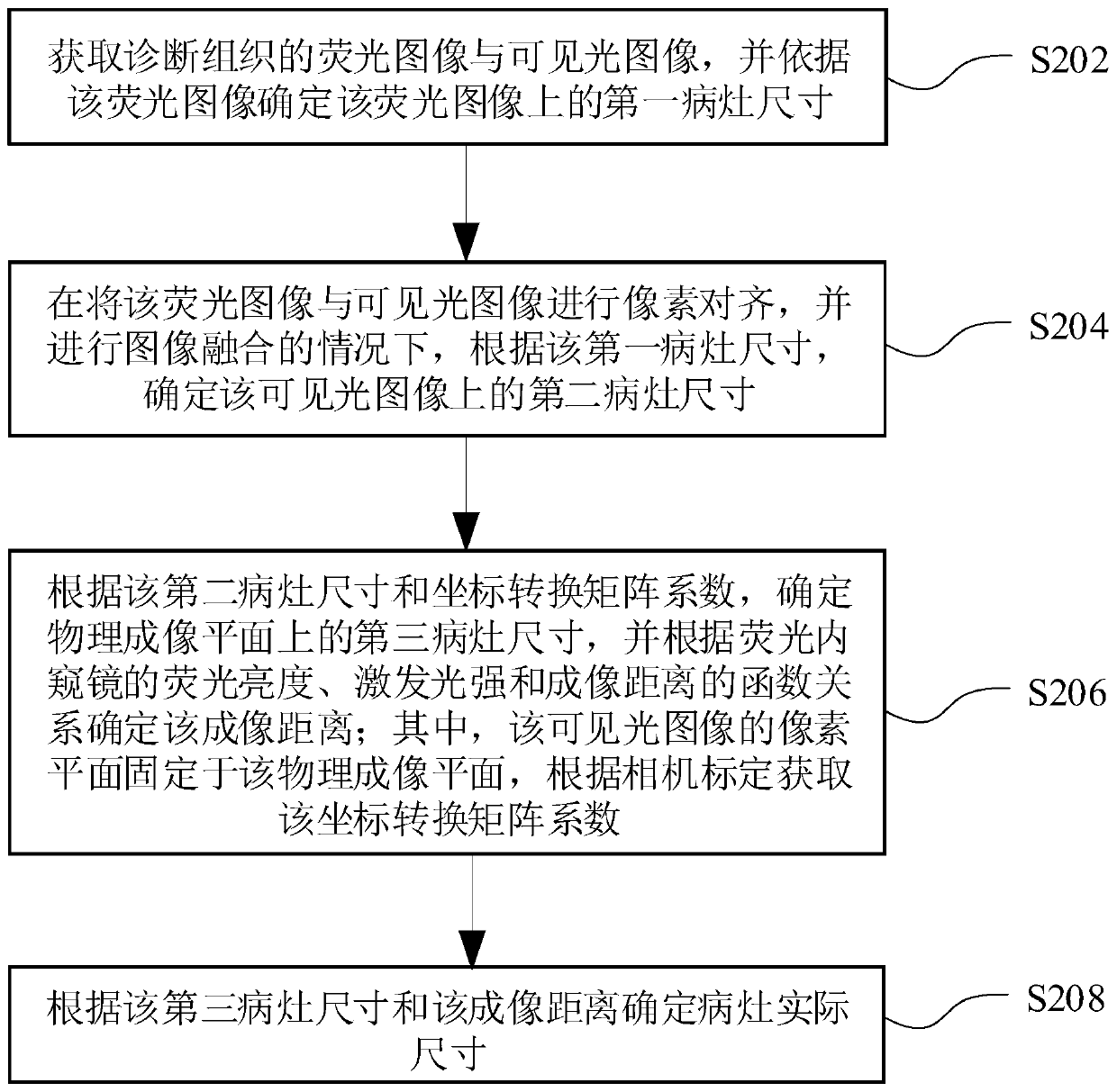 Lesion size measurement method and system of fluorescence endoscope and computer equipment