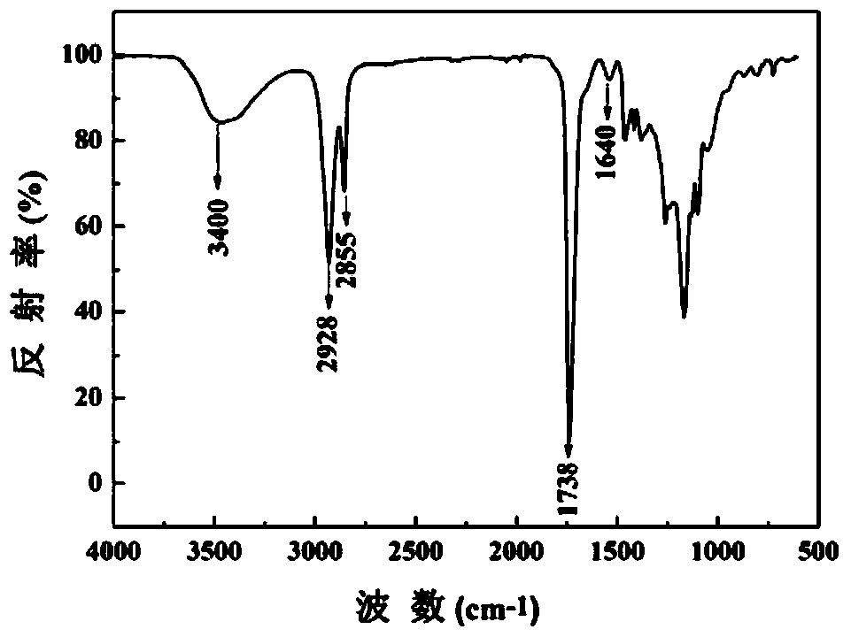 A kind of degradable light curing medical adhesive and its preparation and application