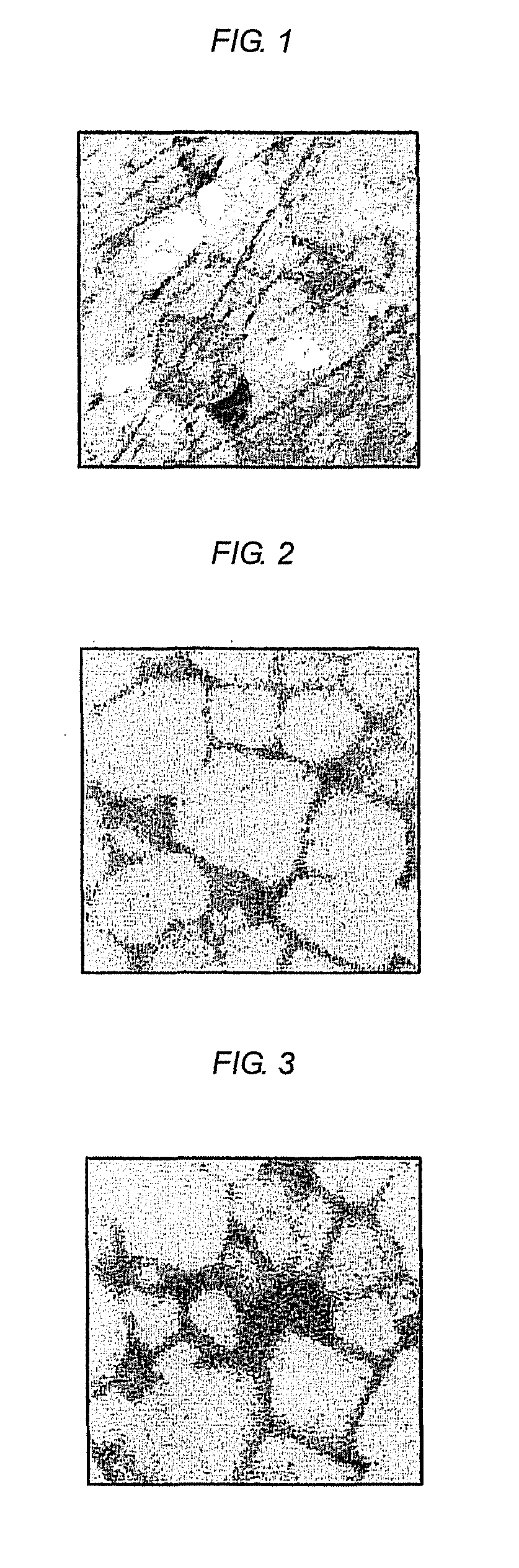 Process for producing semiconductive porcelain composition/electrode assembly