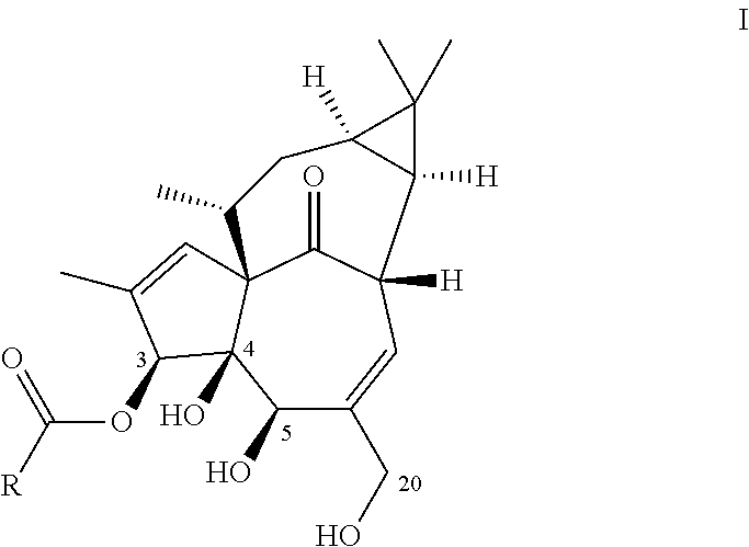 Ingenol-3-acylates iii and ingenol-3-carbamates