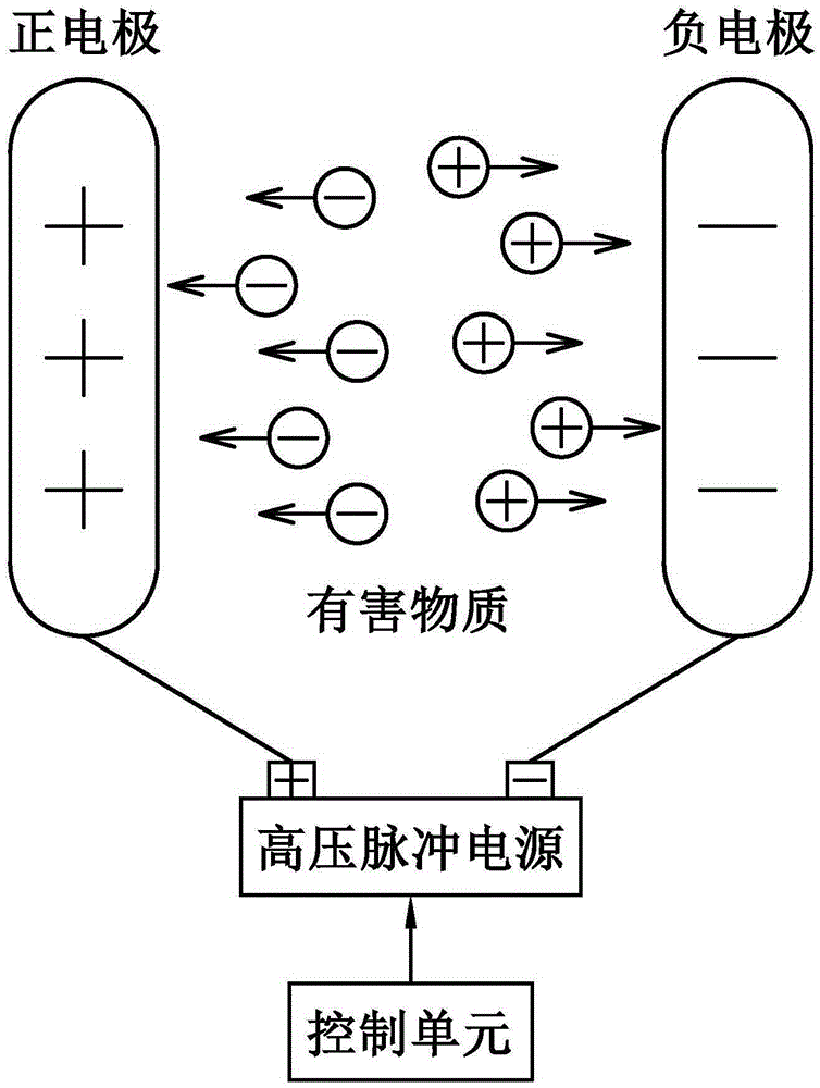 Detoxification machine, detoxification method and electrode installation method of detoxification machine