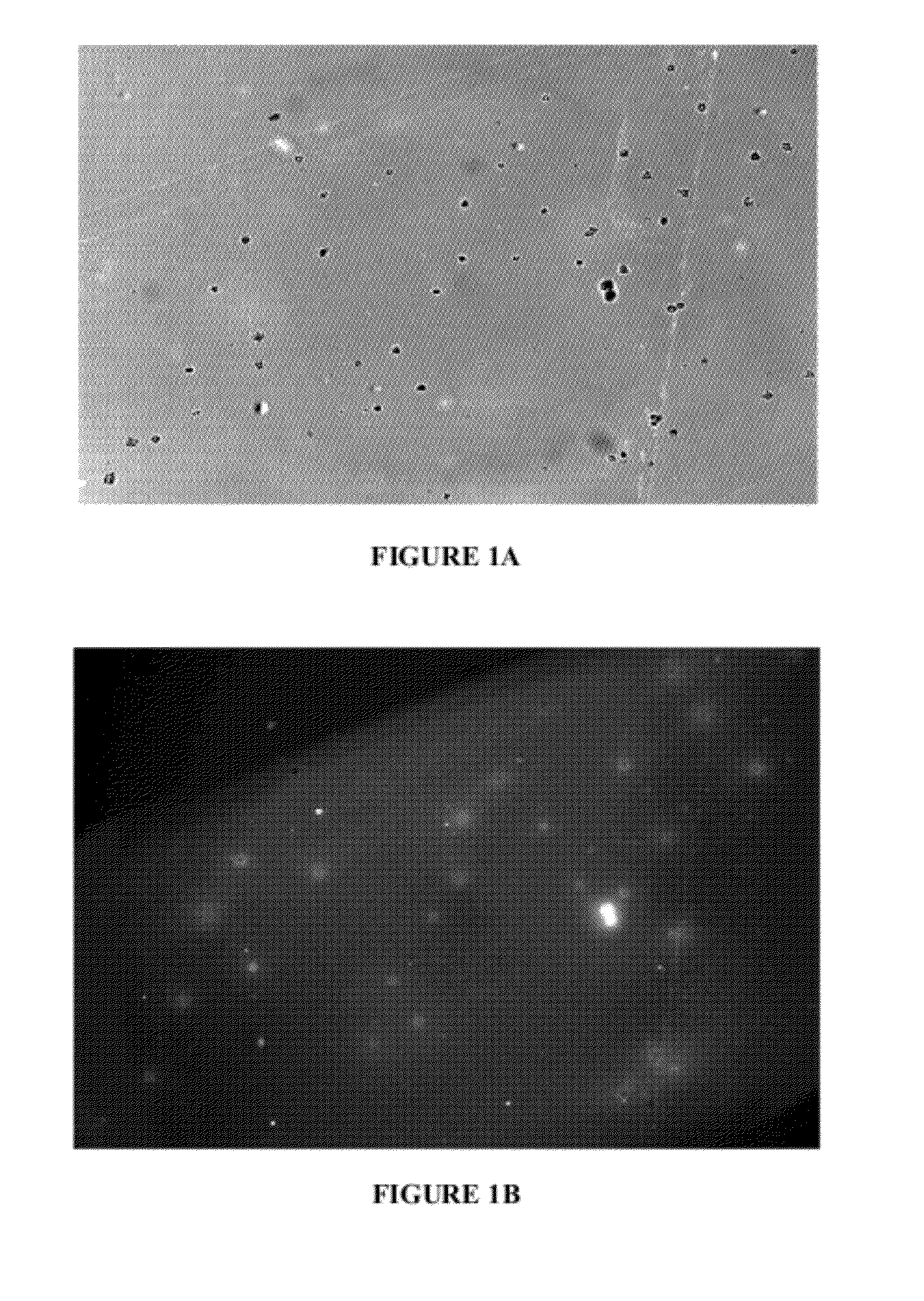 Peptides for the treatment of hearing