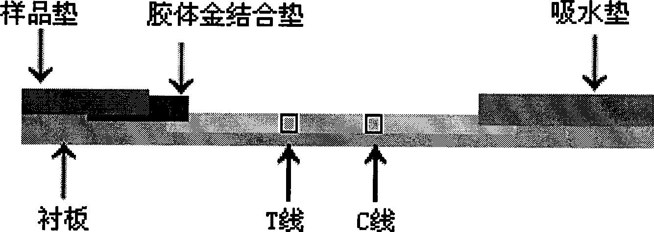 Colloidal gold chromatography test paper strip for quickly detecting perfluoro caprylic acid and preparation method thereof