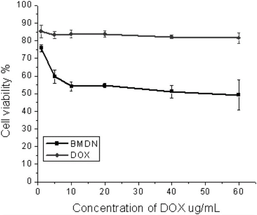 Albumin nanoparticles realizing co-delivery of antitumor drug and MRI (magnetic resonance imaging) contrast medium and preparation method of albumin nanoparticles