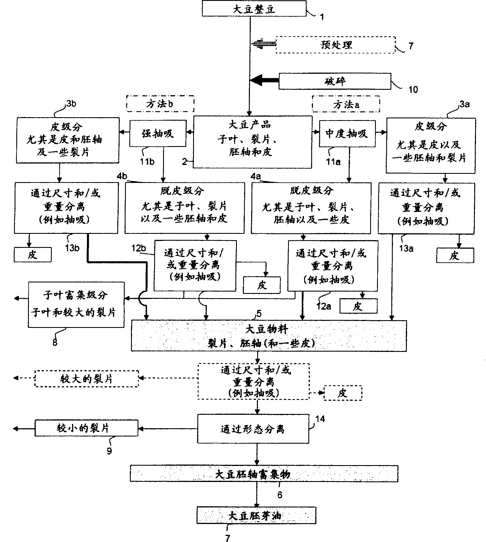 Method for obtaining highly purified and intact soybean hypocotyls