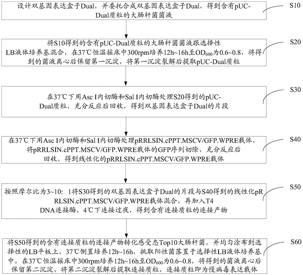 Lentiviral expression vector, as well as preparation method and application of lentiviral expression vector, and preparation method of recombinant lentivirus