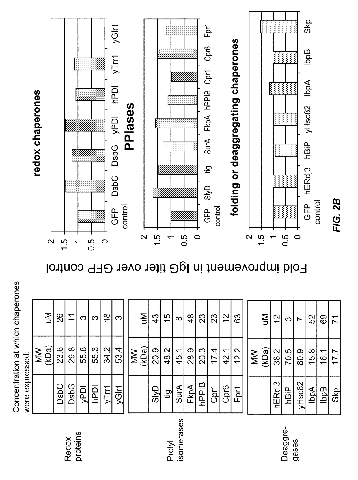 Expression of biologically active proteins in a bacterial cell-free synthesis system using bacterial cells transformed to exhibit elevated levels of chaperone expression