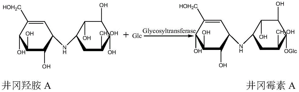 Preparation method of high-purity validamycin A