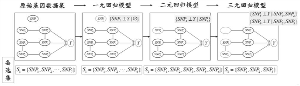 Causal correlation analysis method for fine positioning of whole genome pathogenic SNP (Single Nucleotide Polymorphism)