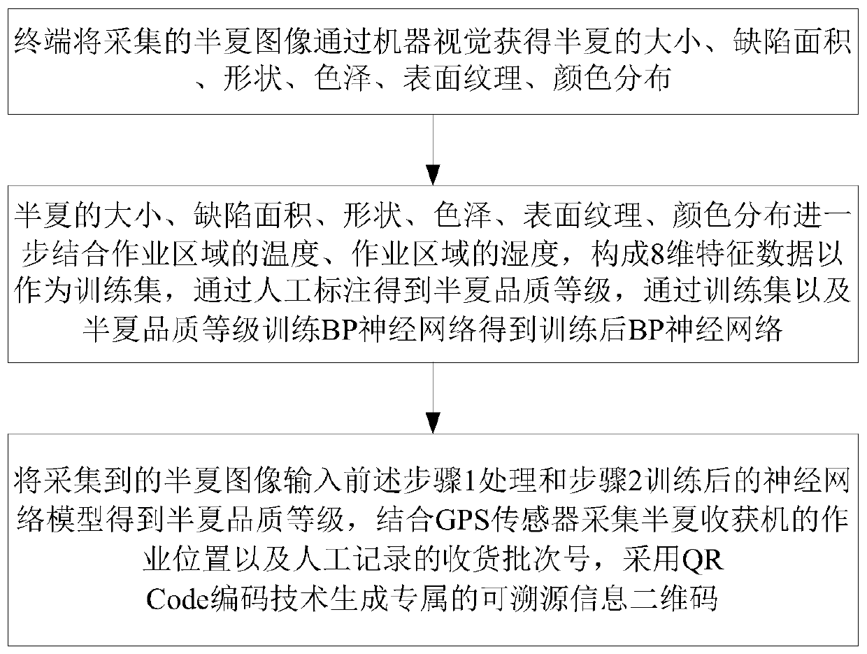 Pinellia ternate quality grading method based on neural network