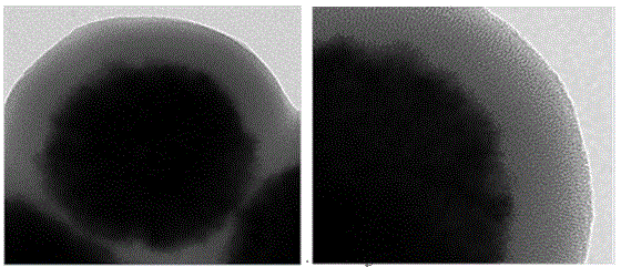 A kind of hydrophobic magnetic mesoporous microsphere and its preparation method and application